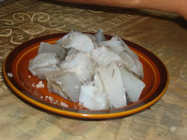 Kinilaw Binisaya nga kulabutan in Siquijor Philippines