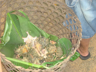 saang in Siquijor Philippines